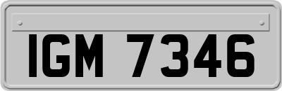 IGM7346
