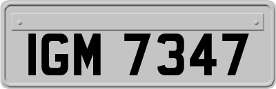 IGM7347