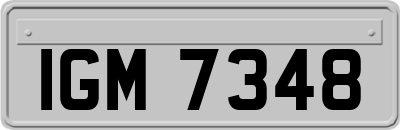 IGM7348