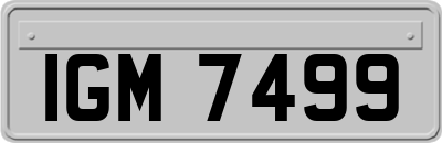 IGM7499