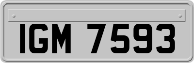 IGM7593