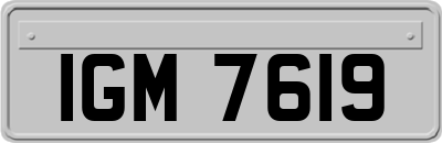 IGM7619
