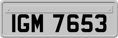 IGM7653