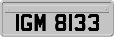 IGM8133