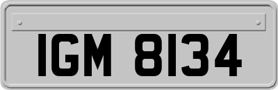 IGM8134