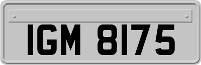 IGM8175