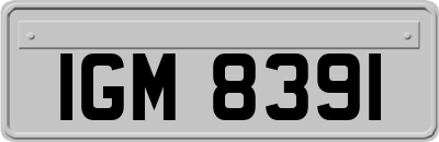 IGM8391