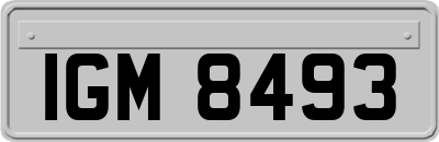 IGM8493