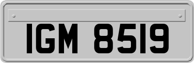 IGM8519