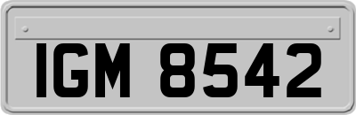 IGM8542