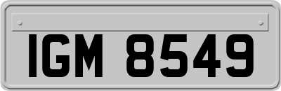 IGM8549