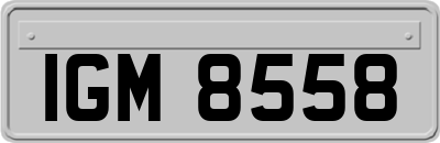 IGM8558
