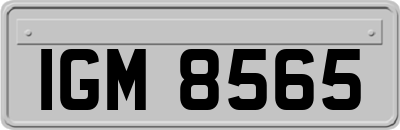 IGM8565