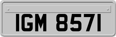 IGM8571