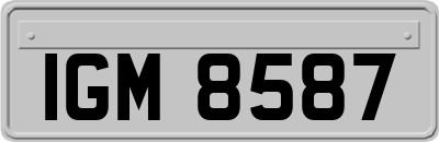 IGM8587