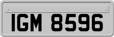 IGM8596
