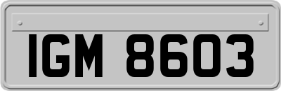 IGM8603