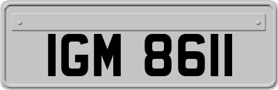 IGM8611