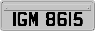 IGM8615