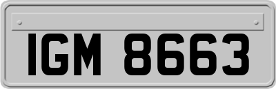 IGM8663