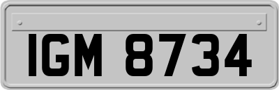 IGM8734