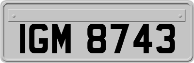 IGM8743