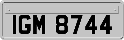 IGM8744