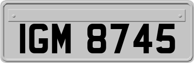 IGM8745