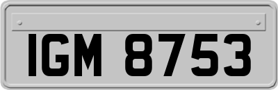 IGM8753