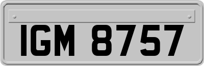 IGM8757
