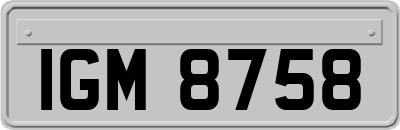 IGM8758