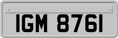 IGM8761