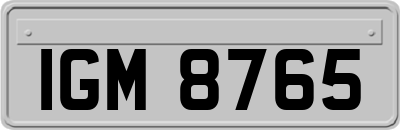 IGM8765