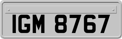 IGM8767