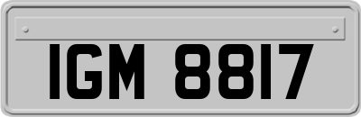 IGM8817