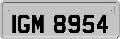 IGM8954