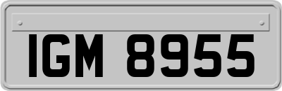 IGM8955