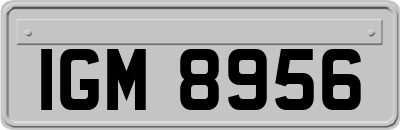 IGM8956