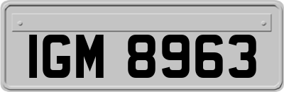 IGM8963