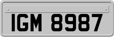 IGM8987