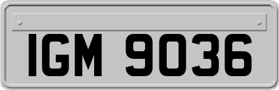 IGM9036