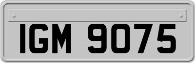 IGM9075