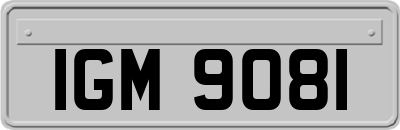 IGM9081