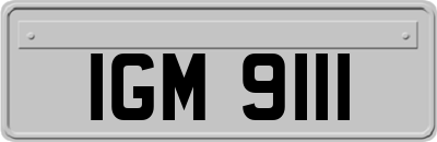 IGM9111