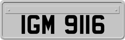 IGM9116