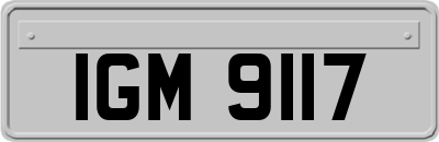 IGM9117