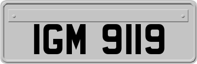 IGM9119