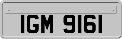 IGM9161