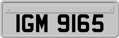 IGM9165