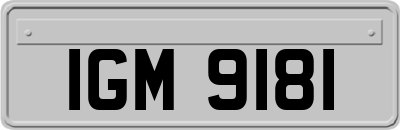 IGM9181